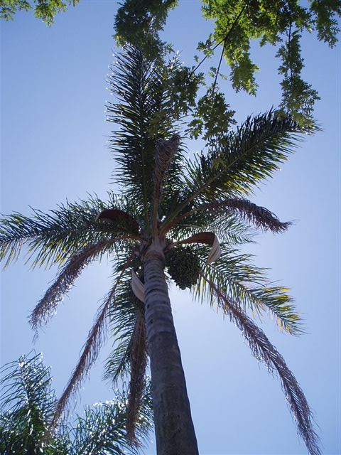 More of Rupert's pics. 